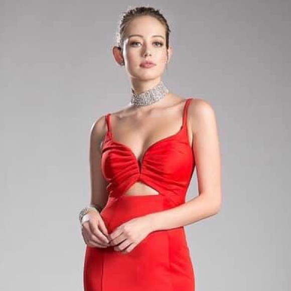 Red gown - Picture 2 of 3